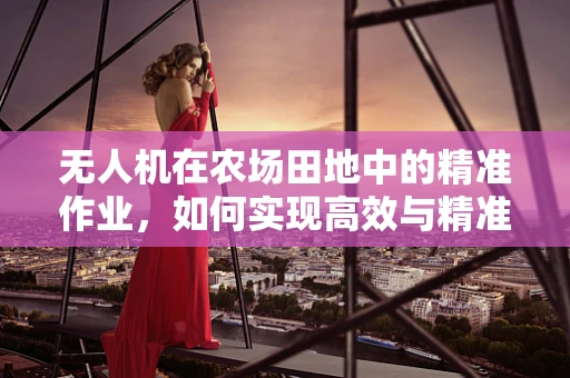 无人机在农场田地中的精准作业，如何实现高效与精准的平衡？