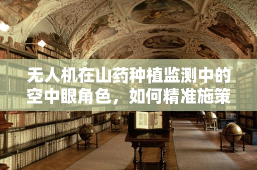无人机在山药种植监测中的空中眼角色，如何精准施策？