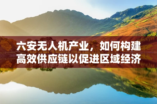 六安无人机产业，如何构建高效供应链以促进区域经济发展？