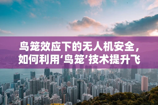 鸟笼效应下的无人机安全，如何利用‘鸟笼’技术提升飞行安全？