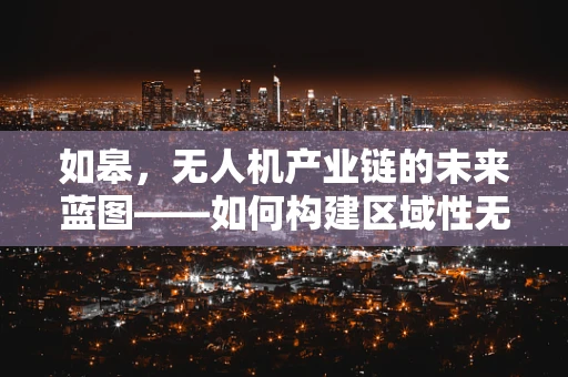 如皋，无人机产业链的未来蓝图——如何构建区域性无人机产业集群？