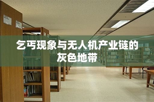 乞丐现象与无人机产业链的灰色地带
