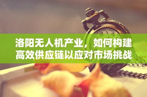 洛阳无人机产业，如何构建高效供应链以应对市场挑战？