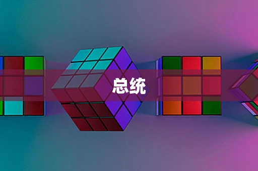 总统