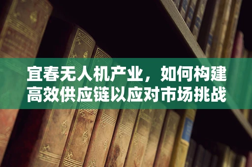 宜春无人机产业，如何构建高效供应链以应对市场挑战？