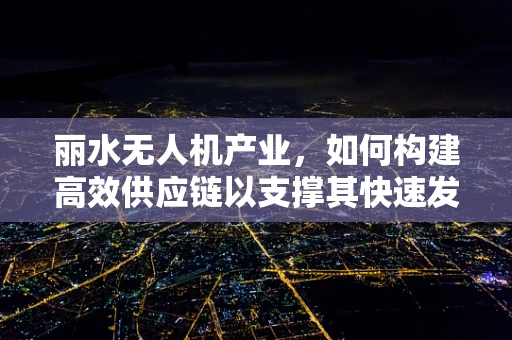丽水无人机产业，如何构建高效供应链以支撑其快速发展？