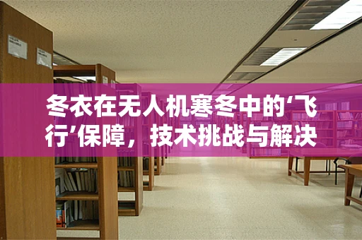 冬衣在无人机寒冬中的‘飞行’保障，技术挑战与解决方案