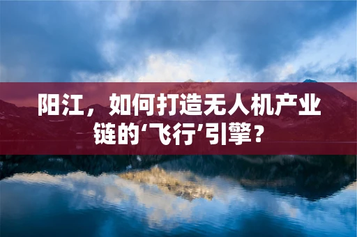 阳江，如何打造无人机产业链的‘飞行’引擎？