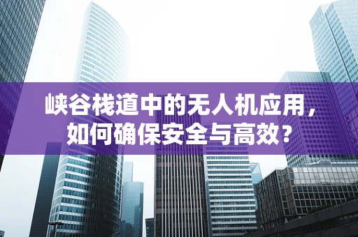 峡谷栈道中的无人机应用，如何确保安全与高效？