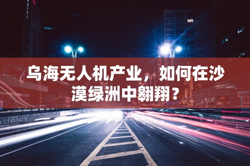 乌海无人机产业，如何在沙漠绿洲中翱翔？
