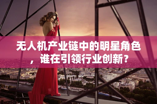 无人机产业链中的明星角色，谁在引领行业创新？