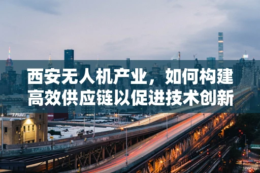 西安无人机产业，如何构建高效供应链以促进技术创新？