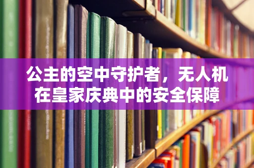 公主的空中守护者，无人机在皇家庆典中的安全保障