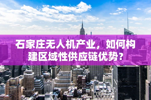 石家庄无人机产业，如何构建区域性供应链优势？
