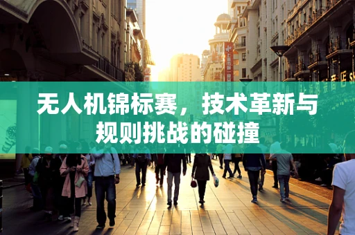 无人机锦标赛，技术革新与规则挑战的碰撞