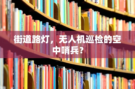 街道路灯，无人机巡检的空中哨兵？