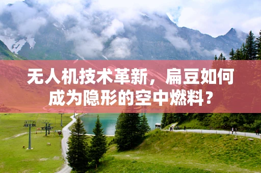 无人机技术革新，扁豆如何成为隐形的空中燃料？