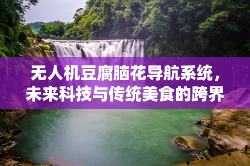无人机豆腐脑花导航系统，未来科技与传统美食的跨界挑战？