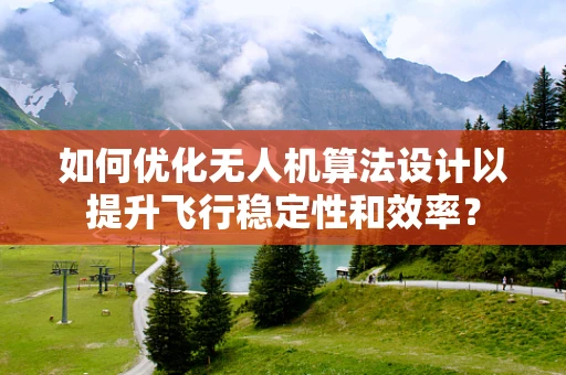 如何优化无人机算法设计以提升飞行稳定性和效率？