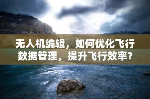 无人机编辑，如何优化飞行数据管理，提升飞行效率？