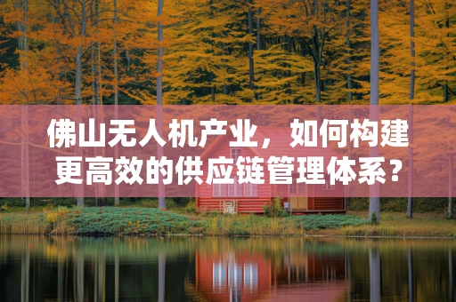 佛山无人机产业，如何构建更高效的供应链管理体系？