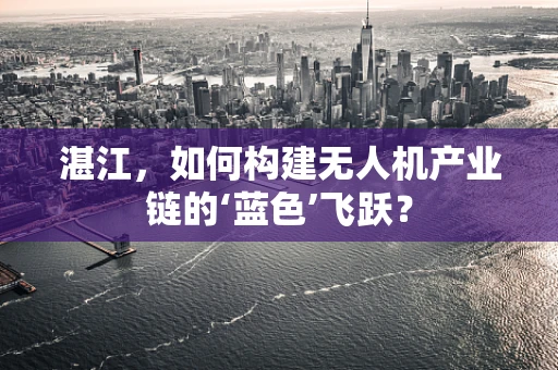 湛江，如何构建无人机产业链的‘蓝色’飞跃？