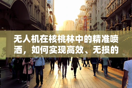 无人机在核桃林中的精准喷洒，如何实现高效、无损的作业？