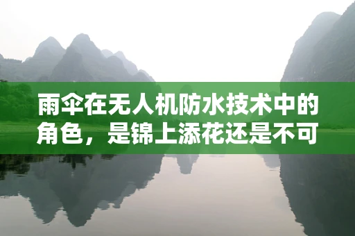 雨伞在无人机防水技术中的角色，是锦上添花还是不可或缺？