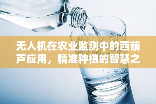 无人机在农业监测中的西葫芦应用，精准种植的智慧之眼？