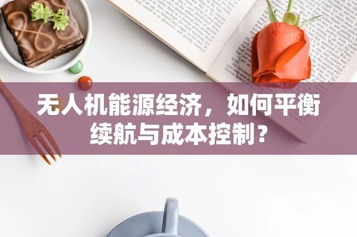 无人机能源经济，如何平衡续航与成本控制？