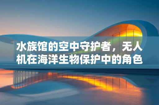 水族馆的空中守护者，无人机在海洋生物保护中的角色与挑战