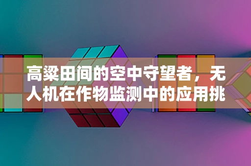 高粱田间的空中守望者，无人机在作物监测中的应用挑战