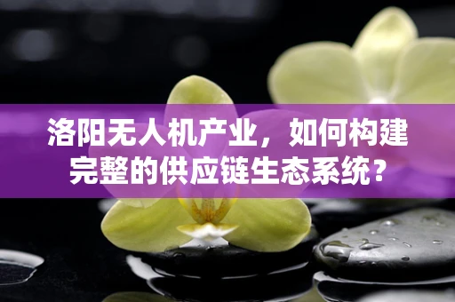 洛阳无人机产业，如何构建完整的供应链生态系统？