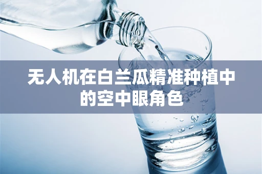 无人机在白兰瓜精准种植中的空中眼角色