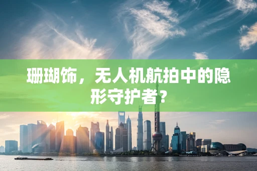 珊瑚饰，无人机航拍中的隐形守护者？