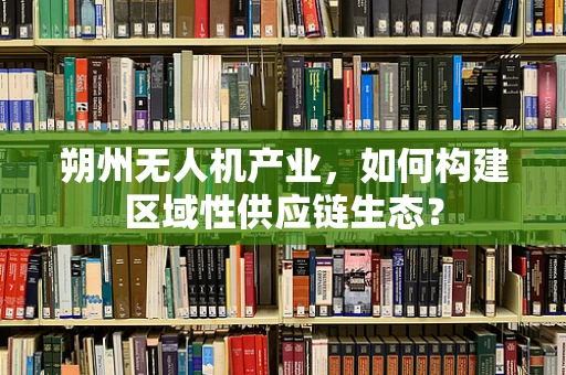 朔州无人机产业，如何构建区域性供应链生态？