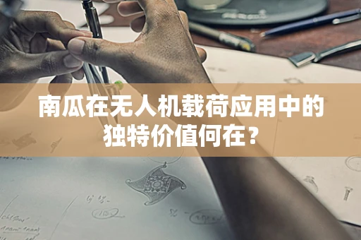 南瓜在无人机载荷应用中的独特价值何在？