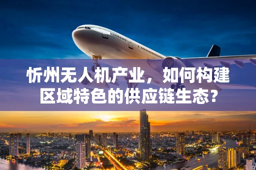 忻州无人机产业，如何构建区域特色的供应链生态？
