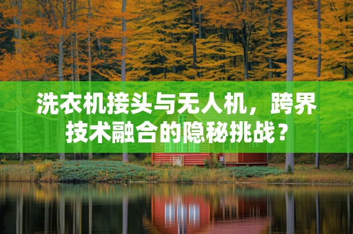 洗衣机接头与无人机，跨界技术融合的隐秘挑战？