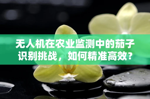 无人机在农业监测中的茄子识别挑战，如何精准高效？
