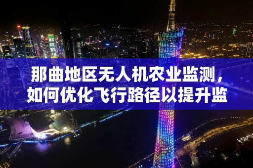那曲地区无人机农业监测，如何优化飞行路径以提升监测效率？
