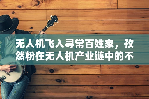 无人机飞入寻常百姓家，孜然粉在无人机产业链中的不为人知角色