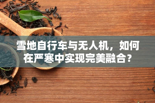雪地自行车与无人机，如何在严寒中实现完美融合？