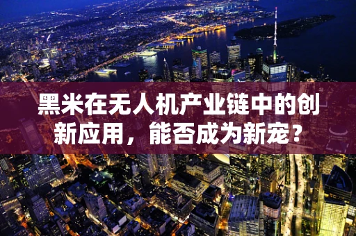 黑米在无人机产业链中的创新应用，能否成为新宠？