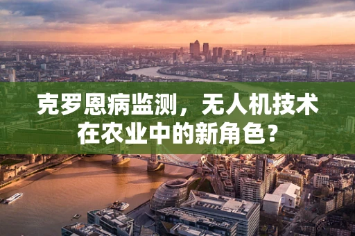 克罗恩病监测，无人机技术在农业中的新角色？