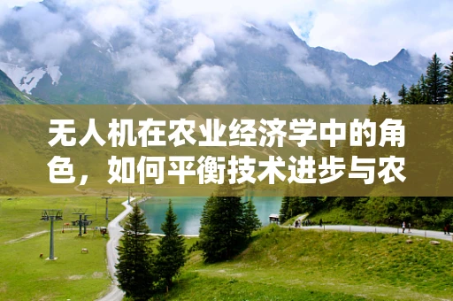 无人机在农业经济学中的角色，如何平衡技术进步与农民收益？