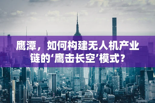鹰潭，如何构建无人机产业链的‘鹰击长空’模式？