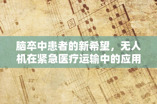 脑卒中患者的新希望，无人机在紧急医疗运输中的应用挑战