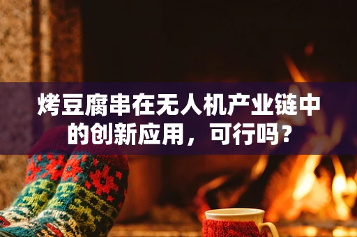 烤豆腐串在无人机产业链中的创新应用，可行吗？