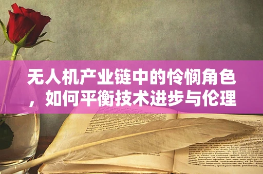 无人机产业链中的怜悯角色，如何平衡技术进步与伦理考量？